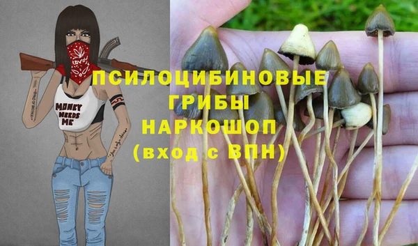 mdma Богданович